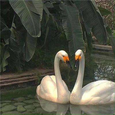 爱游戏(ayx)中国官方网站