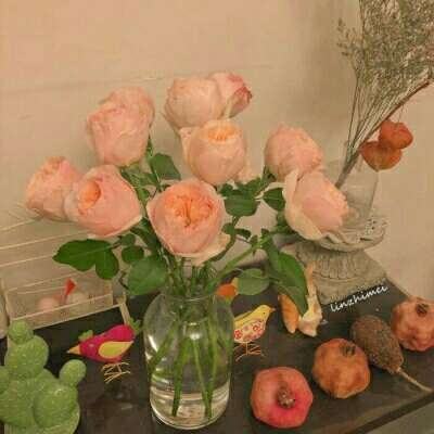 火狐官网下载手机版