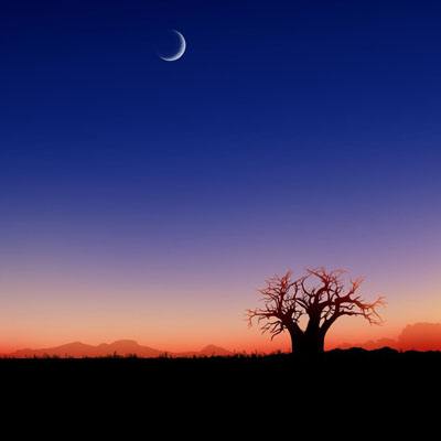 天博体育官网入口