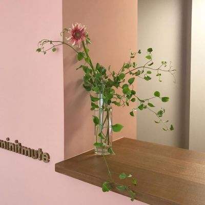 火狐官网下载手机版