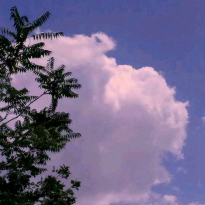 竞彩足球appapp下载