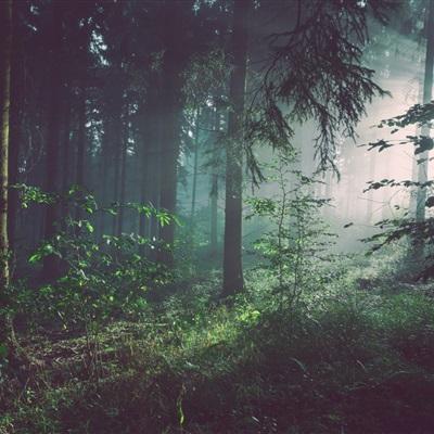 宝威体育官网手机app下载