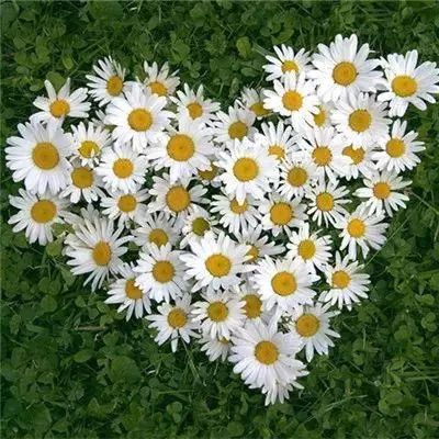 hg8868体育皇冠地址