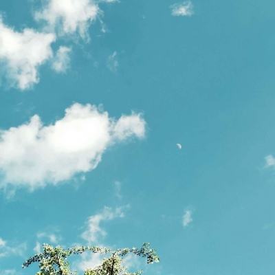 万博全站manbetx安装