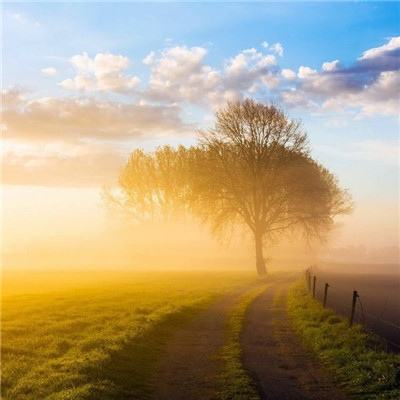 万博官网manbetx-登录入口